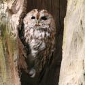 Bürgerbegehren Nationalpark-Bewerbungsverfahren